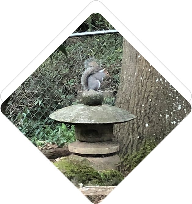 A squirrel sitting on top of a stone lantern.