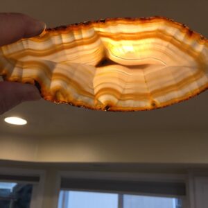 A person holding an agate slice in their hand.