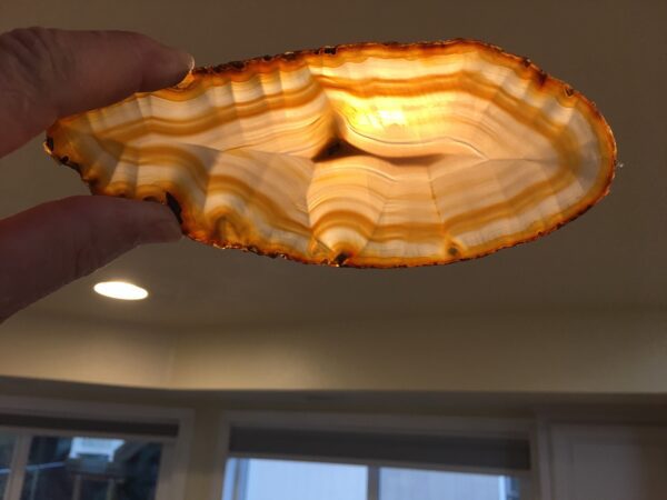 A person holding an agate slice in their hand.