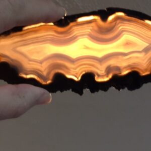 A person holding an agate slice in their hand.