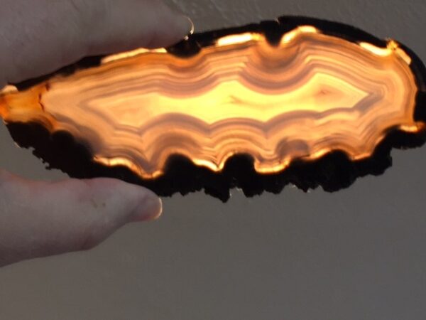 A person holding an agate slice in their hand.