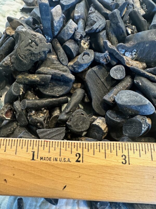 A pile of 50 grams of Pacific Island Black Coral next to a ruler.